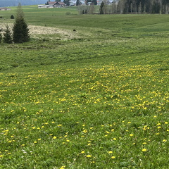 23-05-21 17-17-47 5540